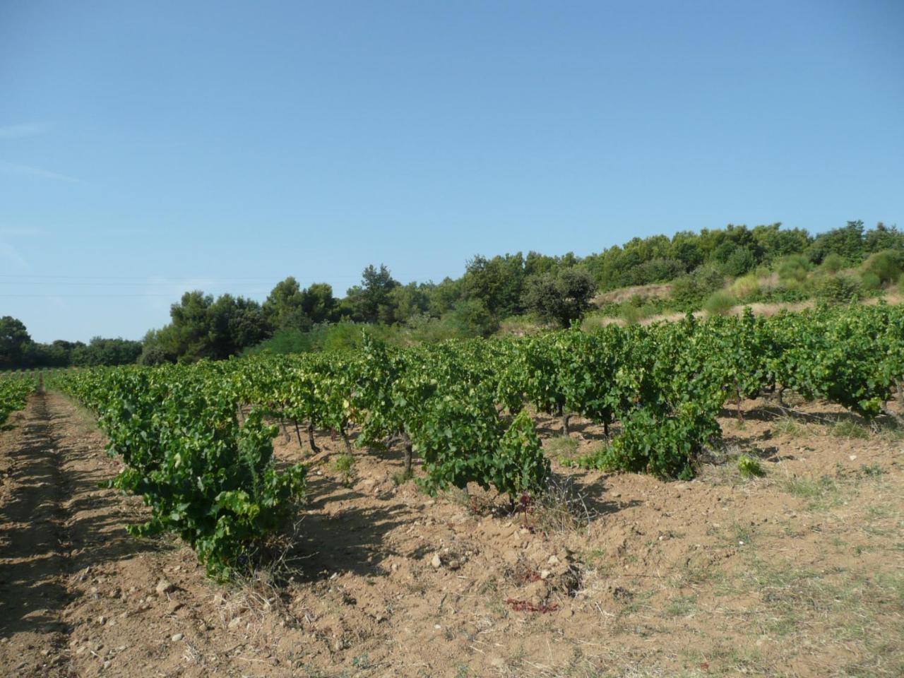 Gite Du Serre De Boudre Climatise, Spa Permanent Buisson Экстерьер фото